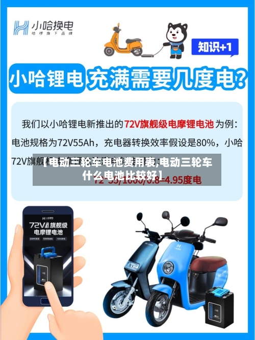 【电动三轮车电池费用表,电动三轮车什么电池比较好】-第3张图片
