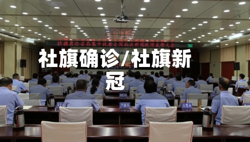 社旗确诊/社旗新冠-第2张图片