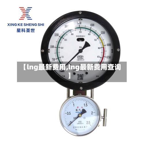 【lng最新费用,lng最新费用查询】-第2张图片