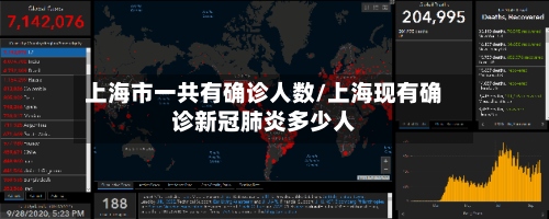 上海市一共有确诊人数/上海现有确诊新冠肺炎多少人-第3张图片