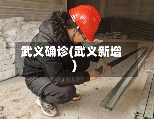 武义确诊(武义新增)