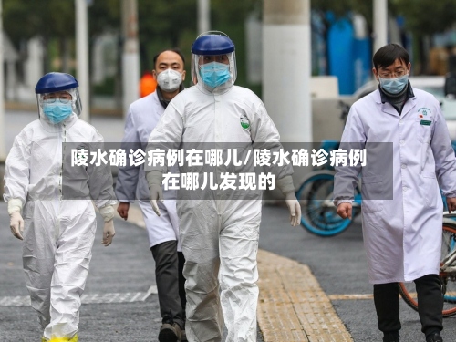 陵水确诊病例在哪儿/陵水确诊病例在哪儿发现的-第2张图片