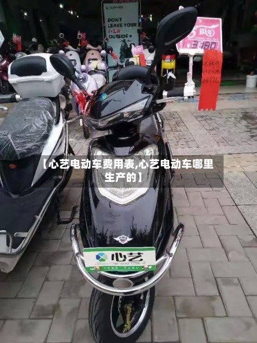 【心艺电动车费用表,心艺电动车哪里生产的】-第2张图片