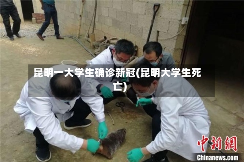 昆明一大学生确诊新冠(昆明大学生死亡)-第2张图片