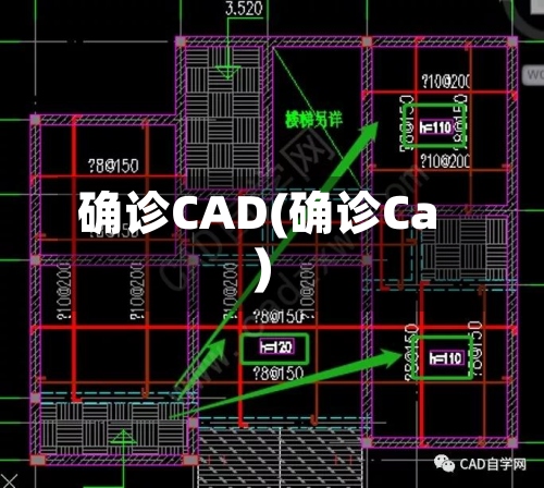 确诊CAD(确诊Ca)