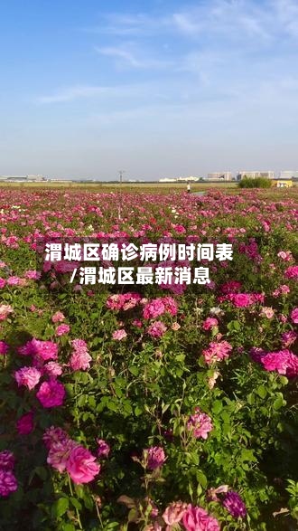 渭城区确诊病例时间表/渭城区最新消息-第2张图片