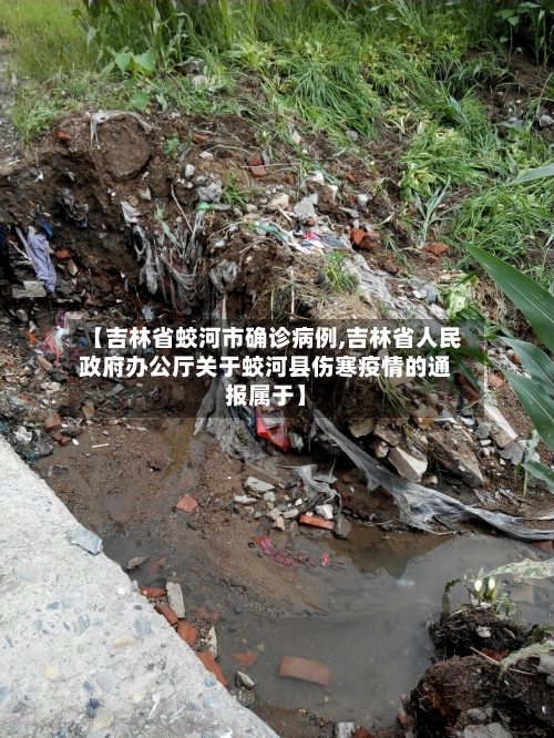 【吉林省蛟河市确诊病例,吉林省人民政府办公厅关于蛟河县伤寒疫情的通报属于】-第3张图片