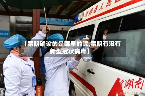 【蒙阴确诊的是哪里的呢,蒙阴有没有新型冠状病毒】