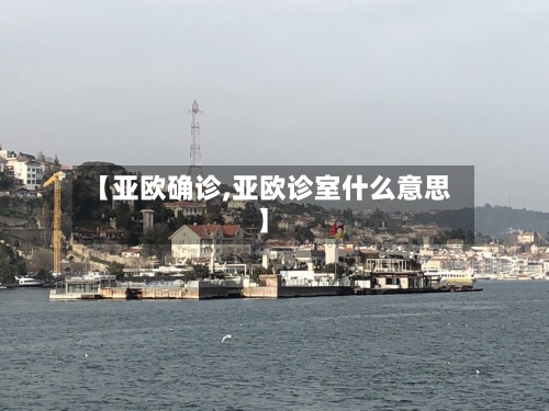 【亚欧确诊,亚欧诊室什么意思】-第3张图片