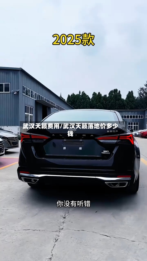 武汉天籁费用/武汉天籁落地价多少钱-第2张图片