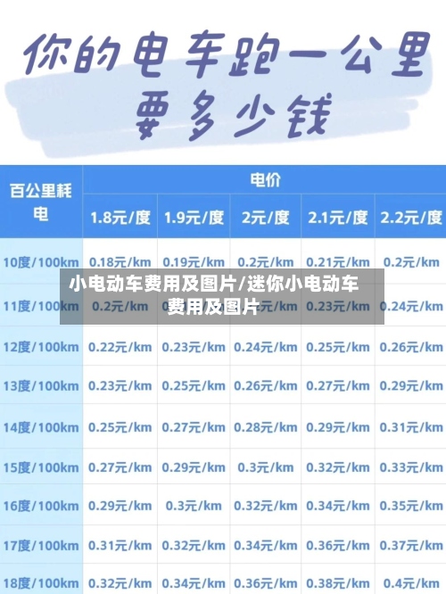 小电动车费用及图片/迷你小电动车费用及图片