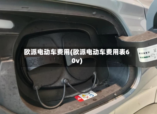欧派电动车费用(欧派电动车费用表60v)-第2张图片