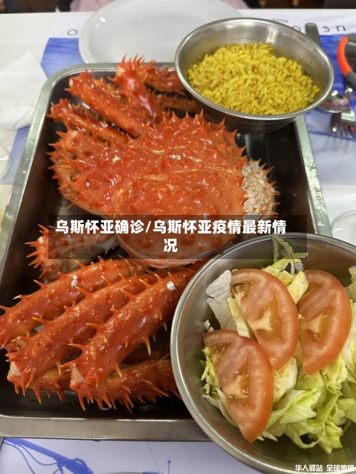 乌斯怀亚确诊/乌斯怀亚疫情最新情况