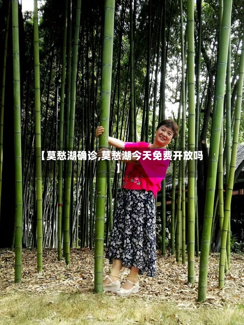 【莫愁湖确诊,莫愁湖今天免费开放吗】-第3张图片
