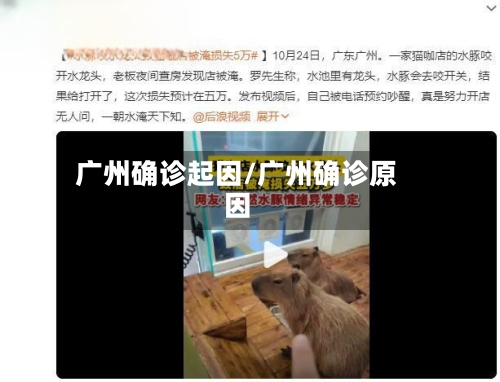 广州确诊起因/广州确诊原因-第2张图片