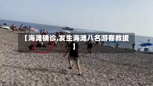 【海滩确诊,发生海滩八名游客救援】-第2张图片