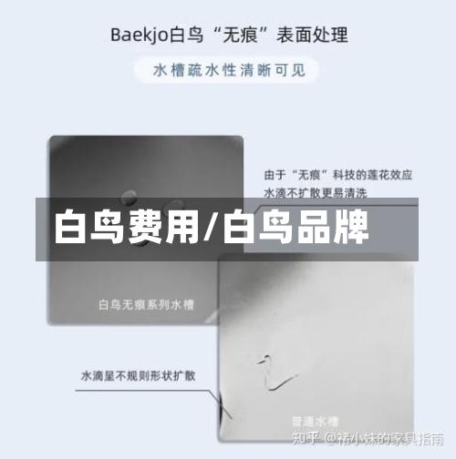 白鸟费用/白鸟品牌-第2张图片
