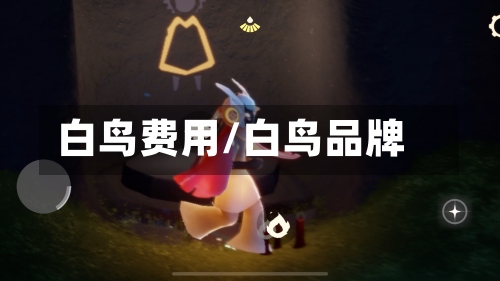 白鸟费用/白鸟品牌-第3张图片