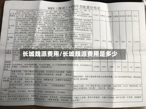 长城魏派费用/长城魏派费用是多少-第2张图片