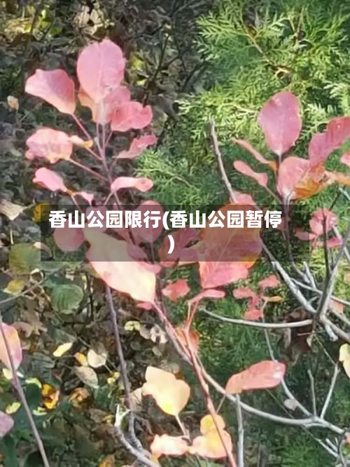 香山公园限行(香山公园暂停)-第2张图片