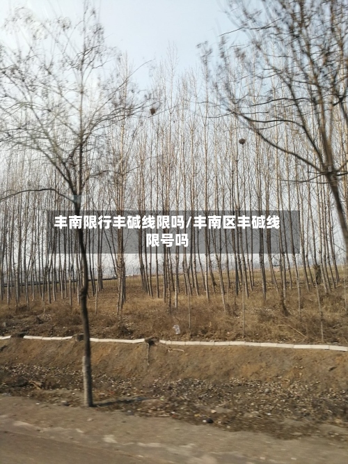 丰南限行丰碱线限吗/丰南区丰碱线限号吗-第2张图片
