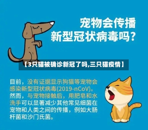 【3只猫被确诊新冠了吗,三只猫疫情】