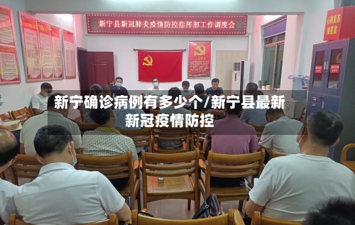 新宁确诊病例有多少个/新宁县最新新冠疫情防控-第2张图片