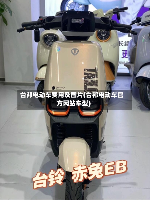 台邦电动车费用及图片(台邦电动车官方网站车型)-第3张图片