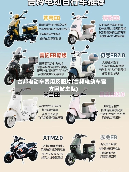 台邦电动车费用及图片(台邦电动车官方网站车型)-第2张图片
