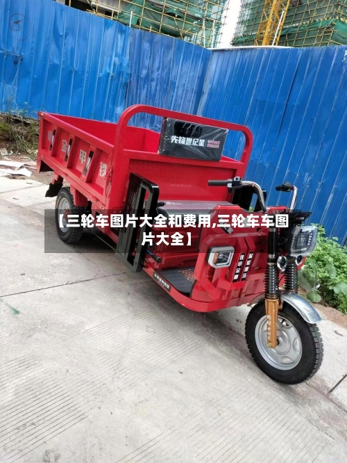 【三轮车图片大全和费用,三轮车车图片大全】