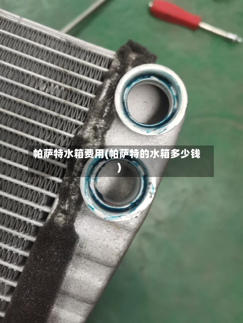 帕萨特水箱费用(帕萨特的水箱多少钱)-第2张图片