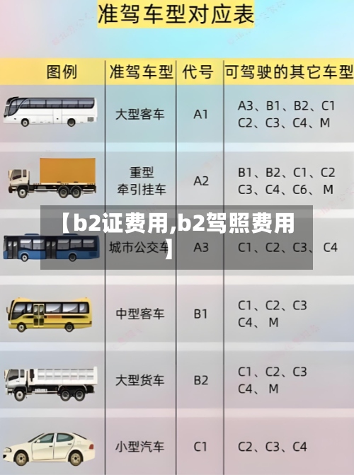 【b2证费用,b2驾照费用】