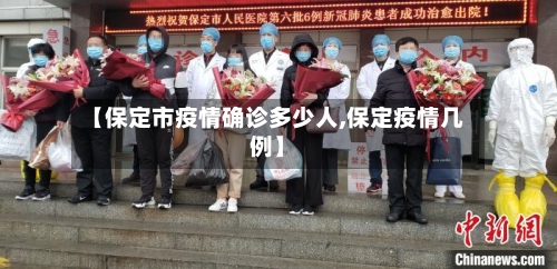 【保定市疫情确诊多少人,保定疫情几例】