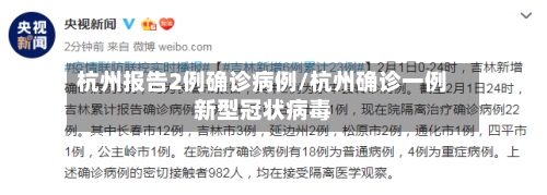 杭州报告2例确诊病例/杭州确诊一例新型冠状病毒