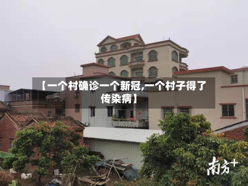 【一个村确诊一个新冠,一个村子得了传染病】
