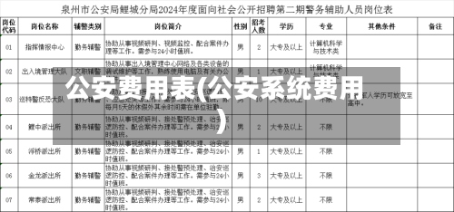 公安费用表(公安系统费用)