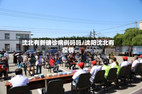 沈北有新确诊病例吗吗/沈阳沈北有疫情