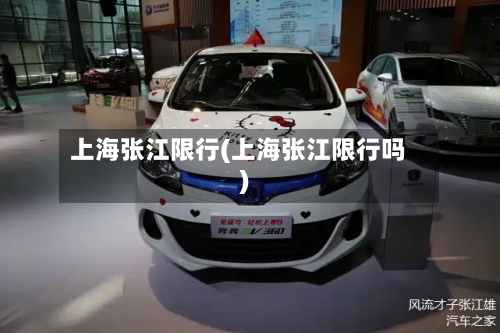 上海张江限行(上海张江限行吗)