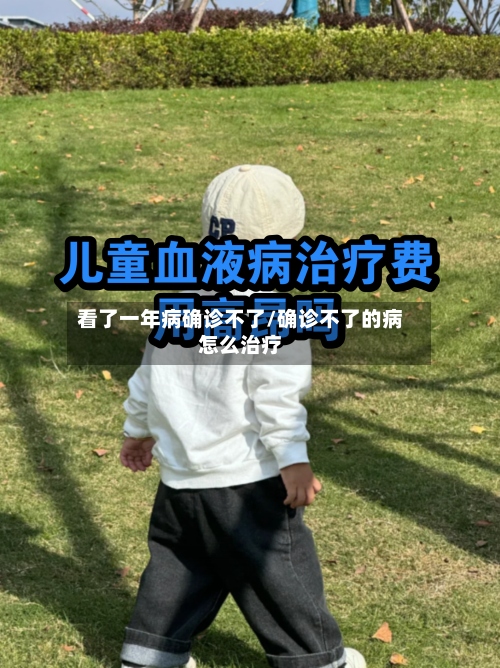 看了一年病确诊不了/确诊不了的病怎么治疗-第2张图片