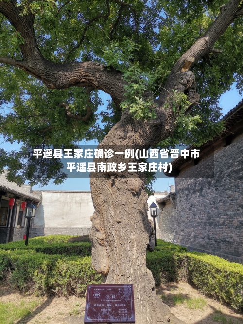 平遥县王家庄确诊一例(山西省晋中市平遥县南政乡王家庄村)