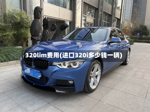 320lim费用(进口320i多少钱一辆)-第2张图片