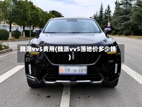 魏派vv5费用(魏派vv5落地价多少钱)-第3张图片