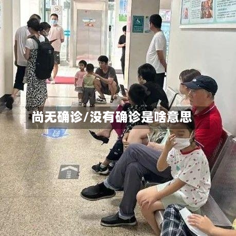 尚无确诊/没有确诊是啥意思