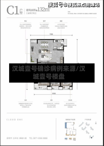 汉城壹号确诊病例来源/汉城壹号楼盘-第3张图片