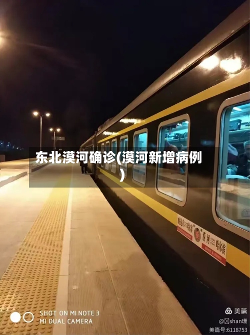 东北漠河确诊(漠河新增病例)-第2张图片
