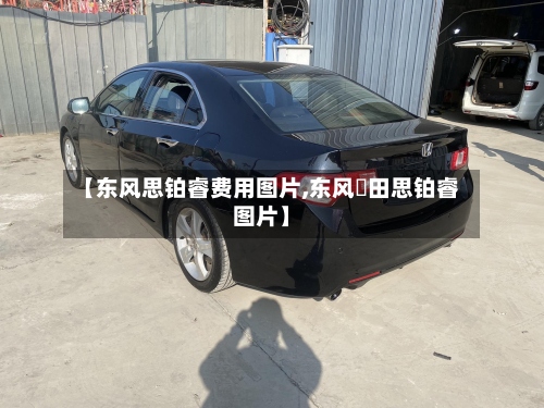 【东风思铂睿费用图片,东风夲田思铂睿图片】