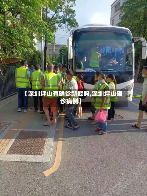 【深圳坪山有确诊新冠吗,深圳坪山确诊病例】