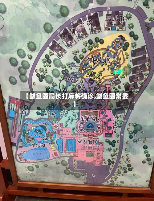 【鲅鱼圈局长打麻将确诊,鲅鱼圈常委】-第2张图片