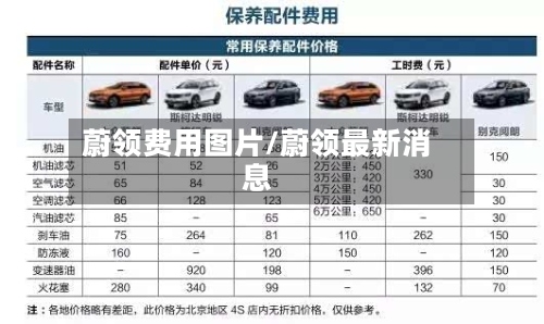 蔚领费用图片/蔚领最新消息-第3张图片