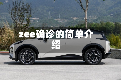 zee确诊的简单介绍